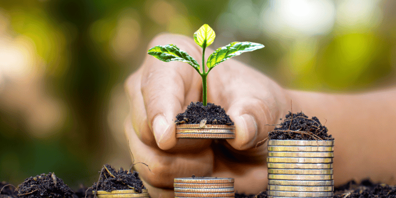 Improve your financial fitness